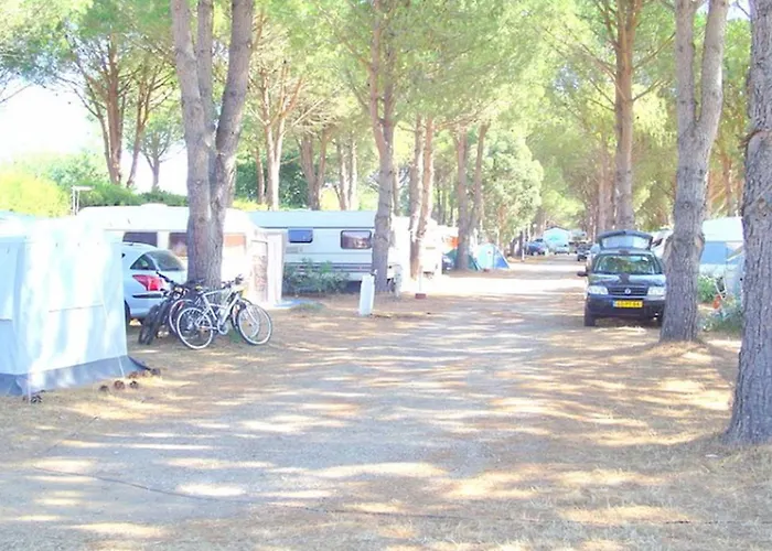 Mobil 4 Pers Avec Terrasse A - Api-1-52-911